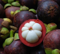 Mangosteen